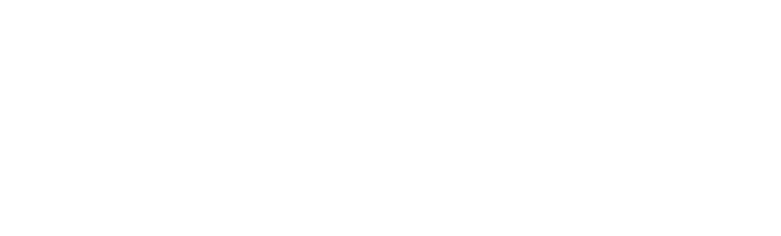 NOVUM